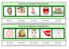 Setzleiste-Körperteile.pdf